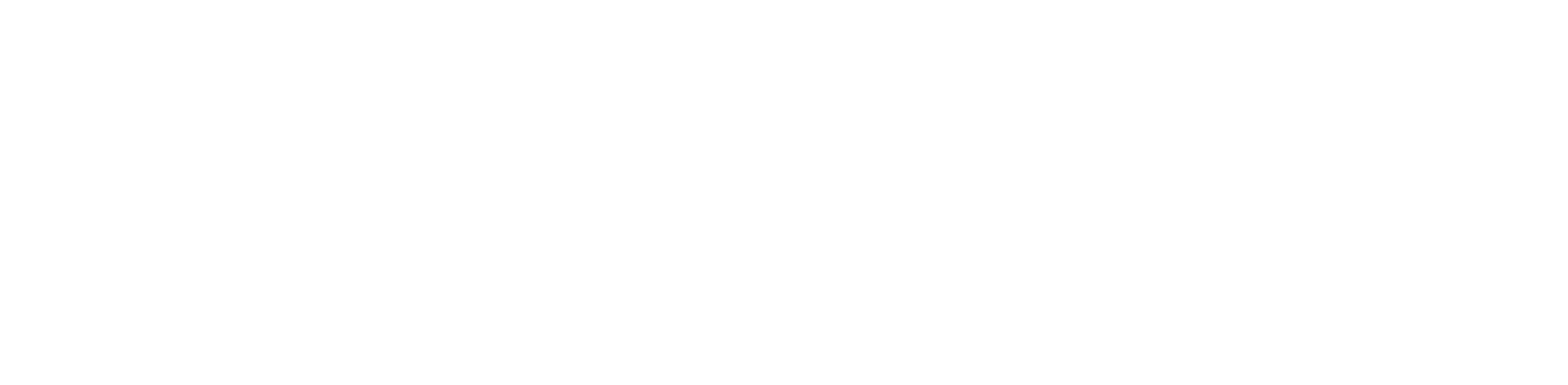 Vincent Cruises